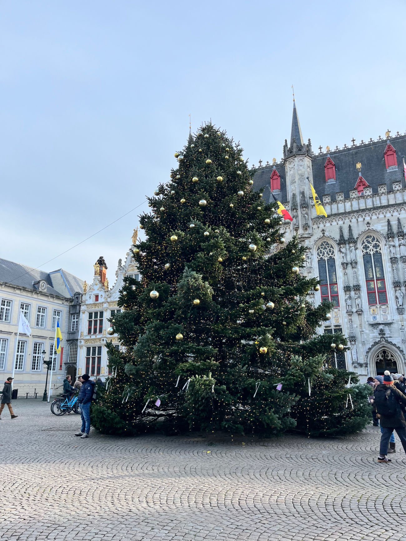 Burgplein Belgium Xmas Tree