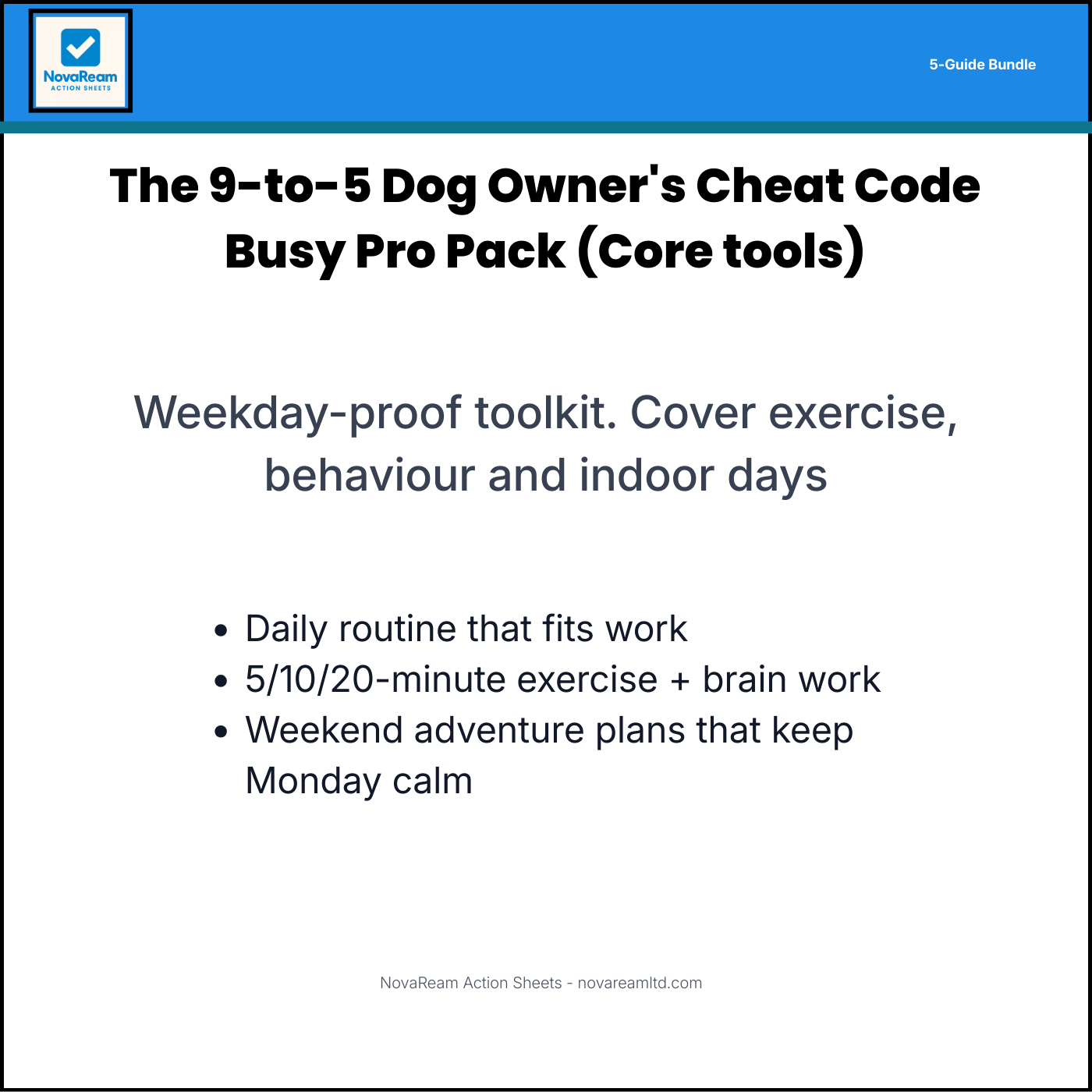 Busy Pro Pack PDF bundle cover