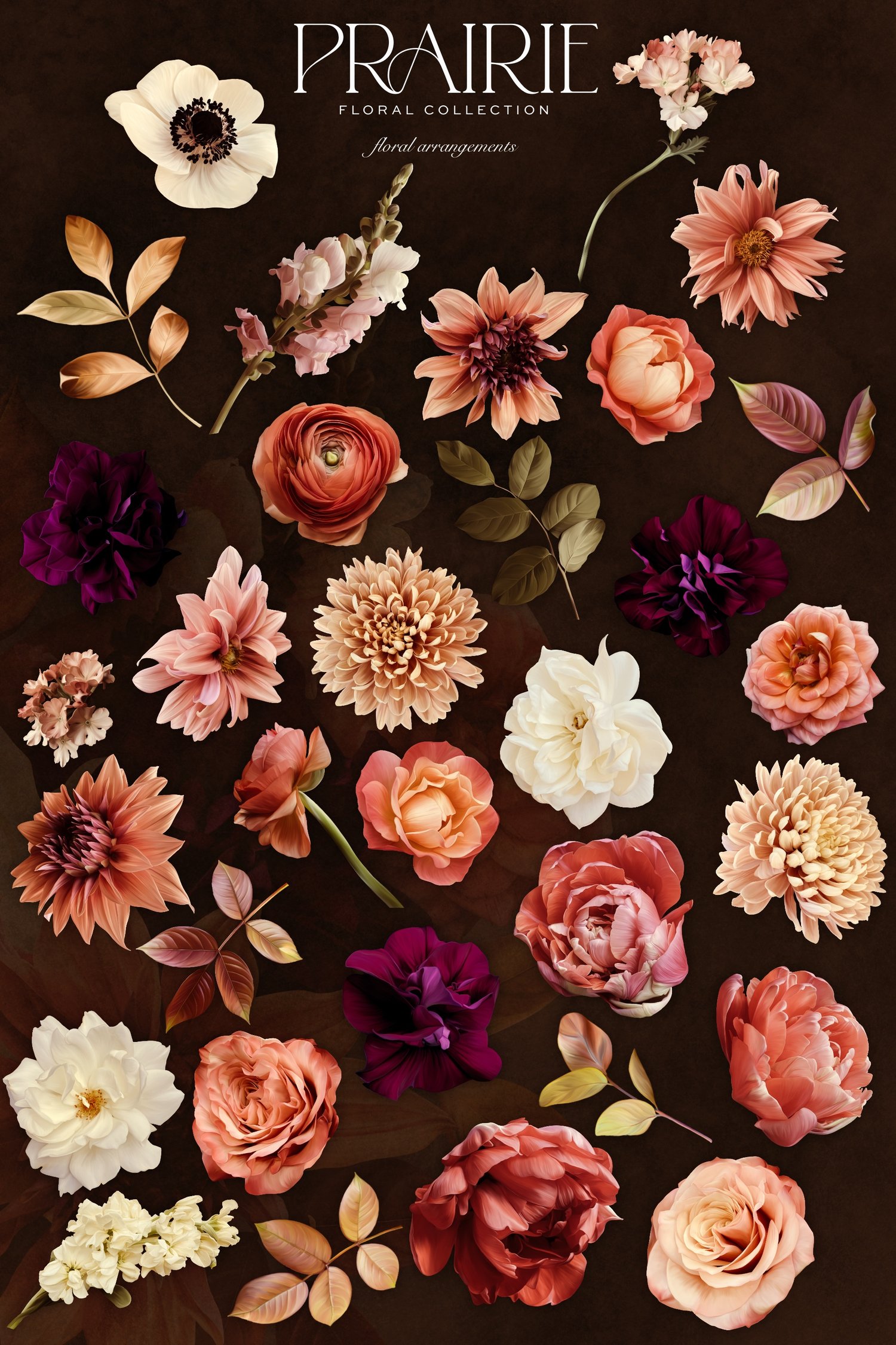 Pink peach and white flower graphics with the words Prairie Floral Collection