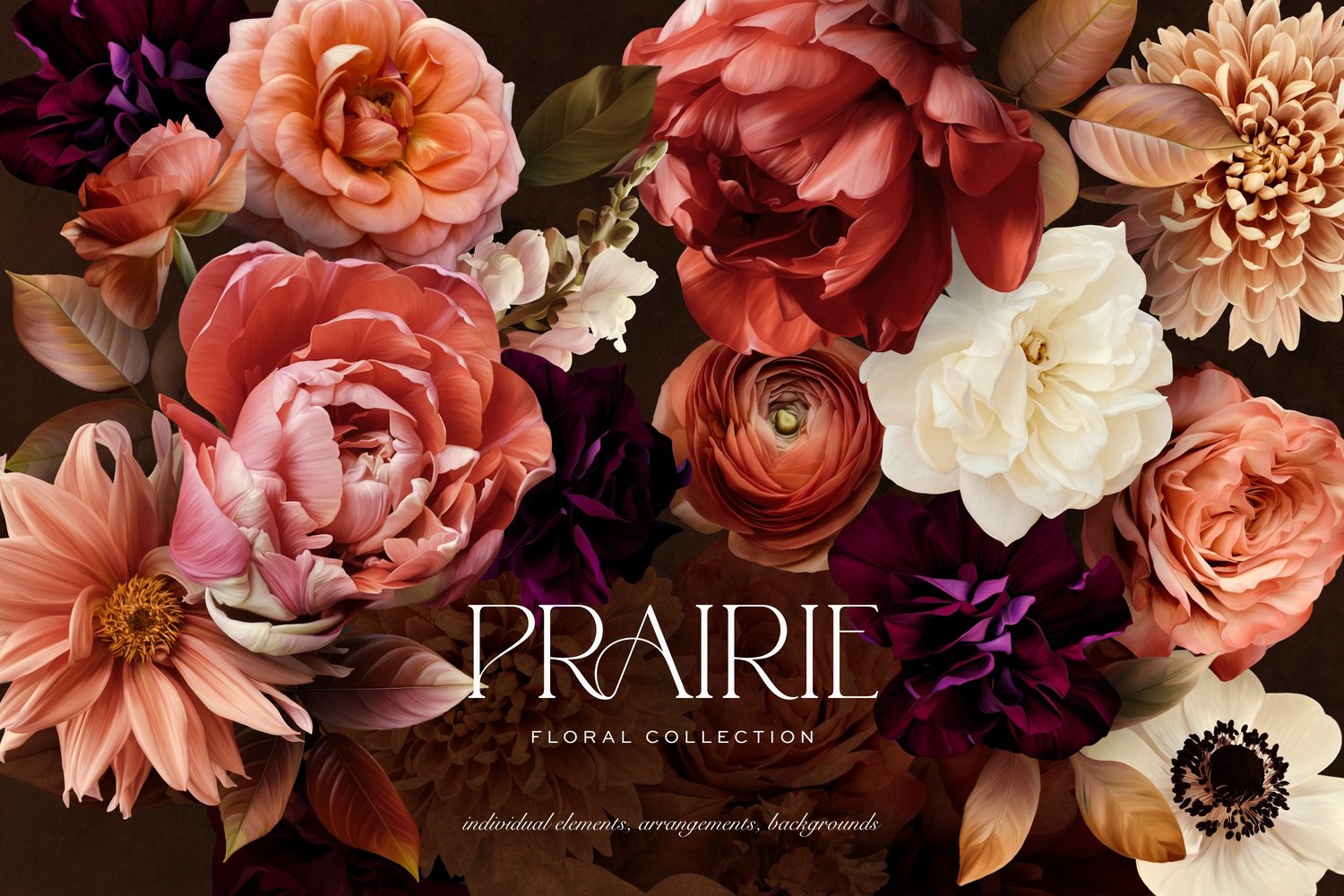 Pink peach and white flower graphics with the words Prairie Floral Collection
