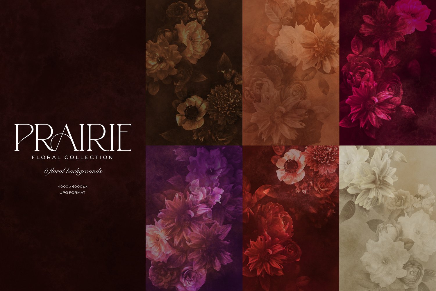 Pink peach and white flower graphics with the words Prairie Floral Collection
