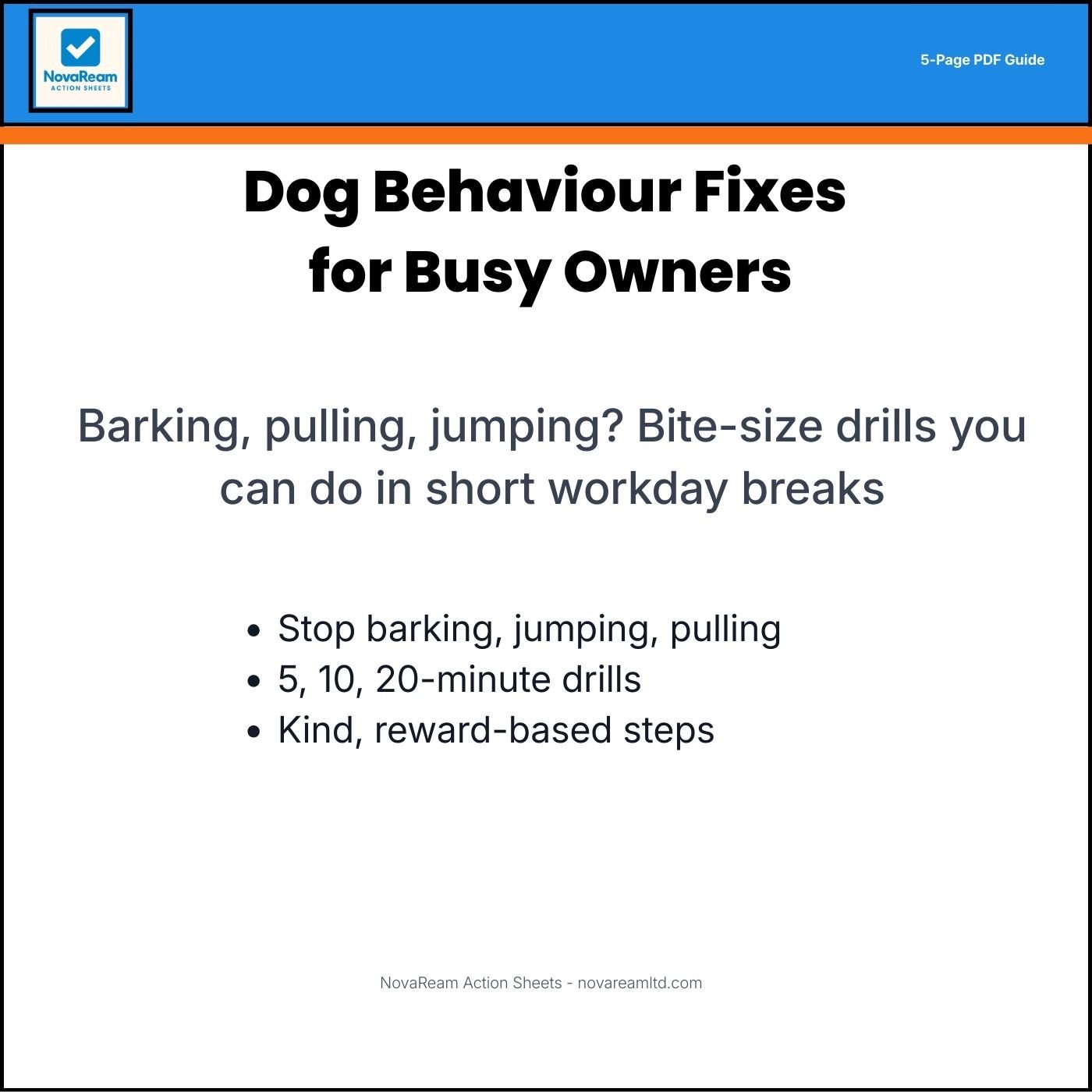 Behaviour Fixes for Busy Owners PDF cover