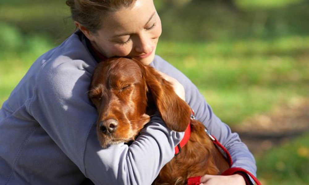 pets are more forgiving than their owners