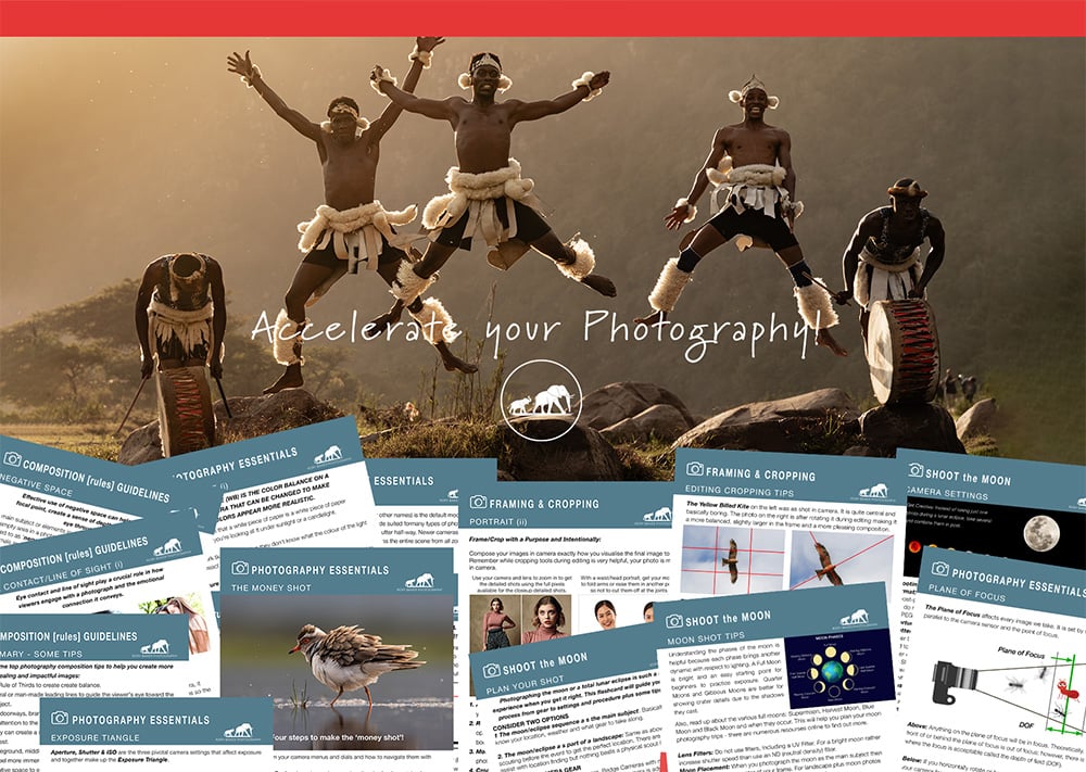 Using Flashcards is like having your own personal photography couch with you everywhere!