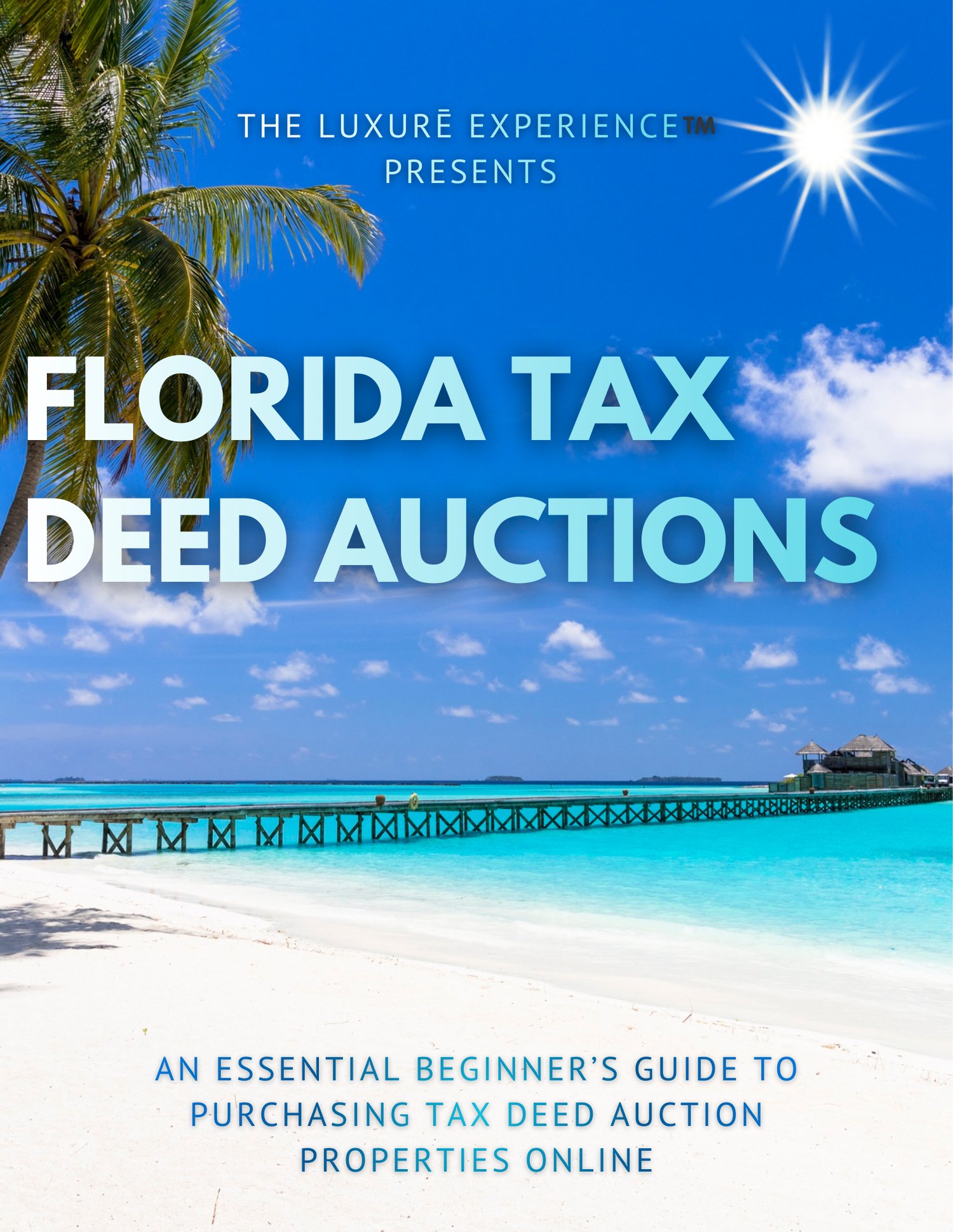 The LuxuRē Experience™️ | Florida Tax Deed Auctions Guide - Payhip