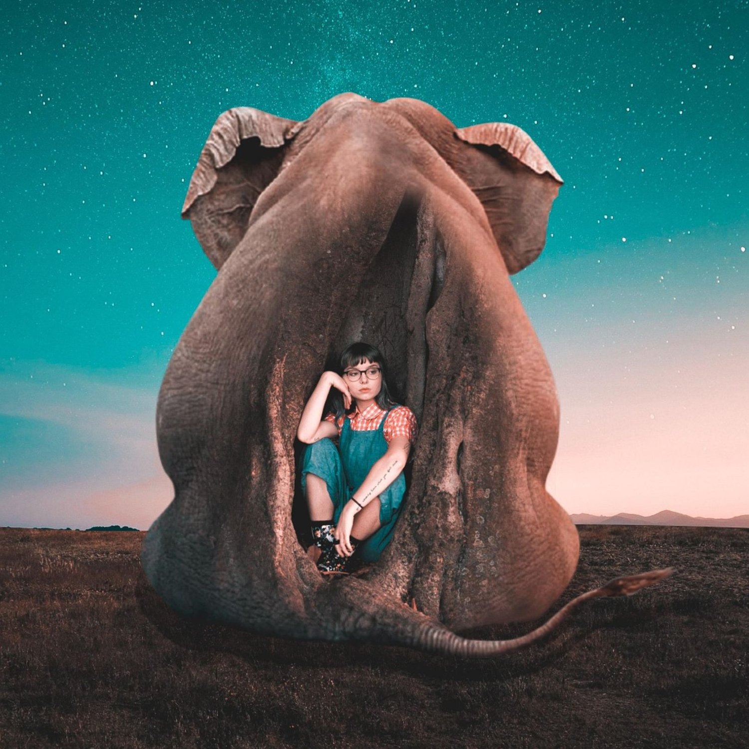 Overthinking life's questions inside of elephant
