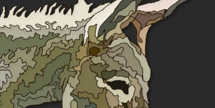 eye of friendship donkey