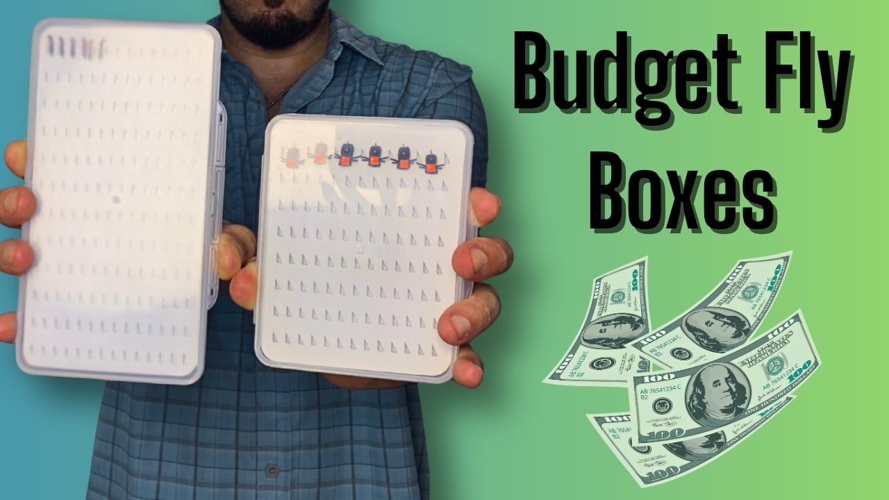 Budget-friendly fly boxes for trout fly fishing, held by Matt Campbell.