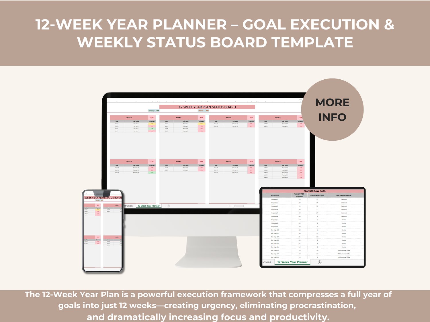 12-Week Year Planner Excel template showing raw data for goals, key steps, weekly assignments, progress percentages, and a visual weekly status board dashboard.