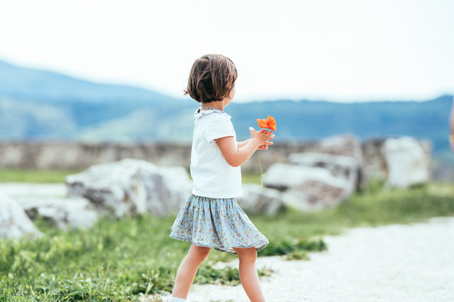 Free integrated lesson plan for the picture book I Went Walking by Sue Williams