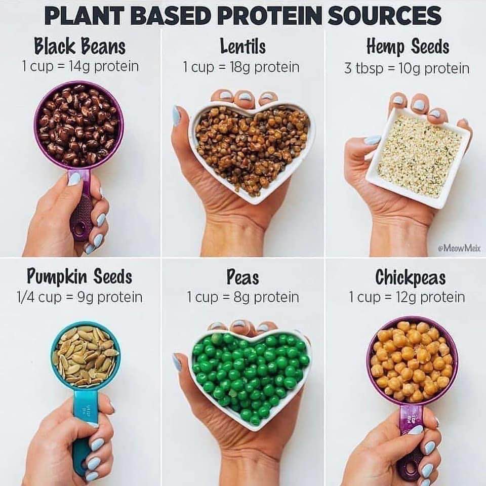 More nutritional health to your busy life plant based proteins