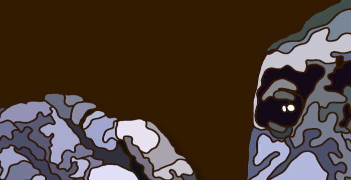 close up, monkey's thoughtful eye