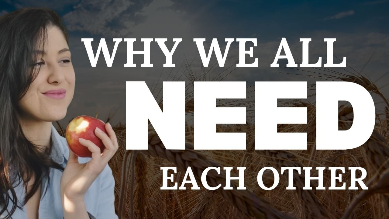 human design type strategies explained