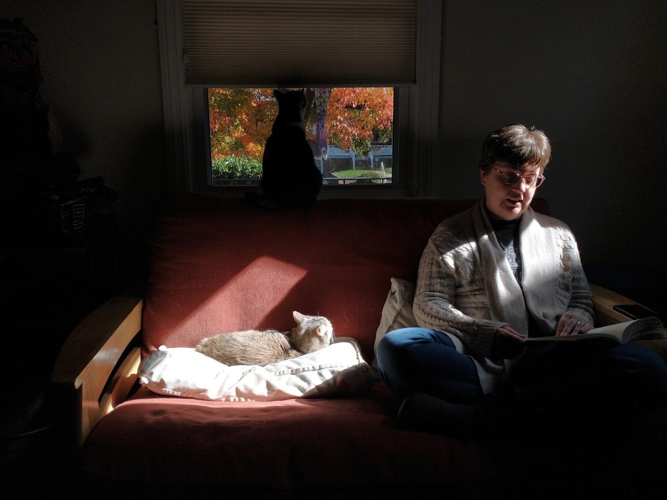 Author Nicky Penttila, and two kitties sit on the couch in the sun, reading.