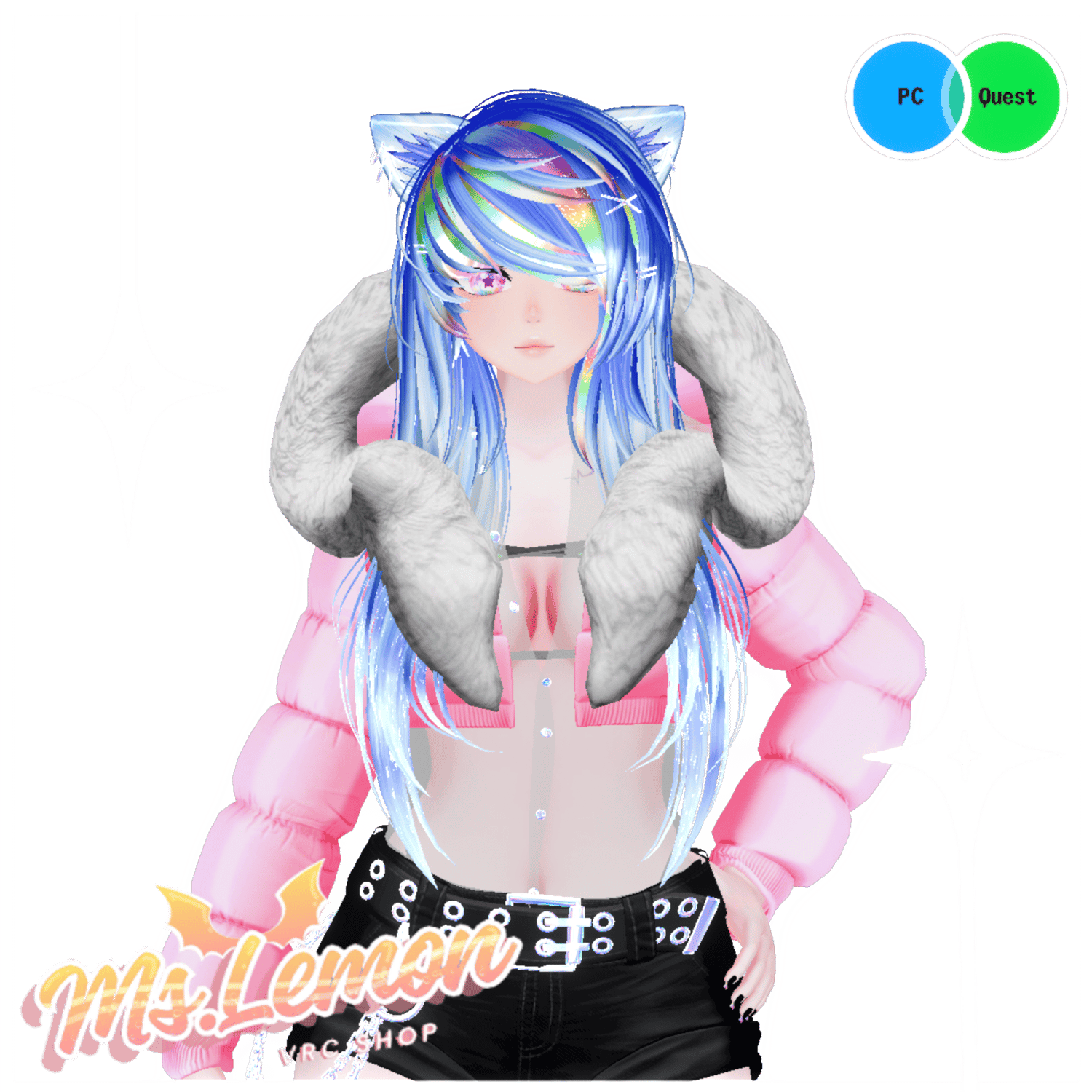 North || PC || VRCFT || GogoLoco