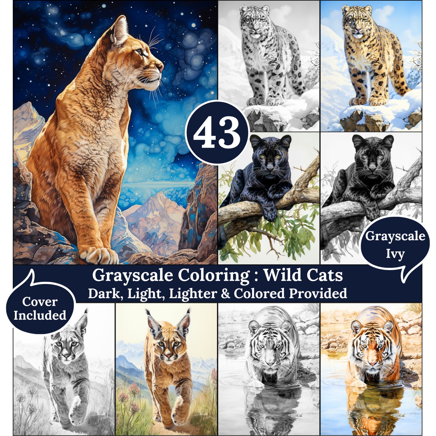 Wild Cats, 43 Coloring Pages, Grayscale Drawings, Dark Light Lighter and Colored Versions,  Digital Art Sheets, Wild Animals