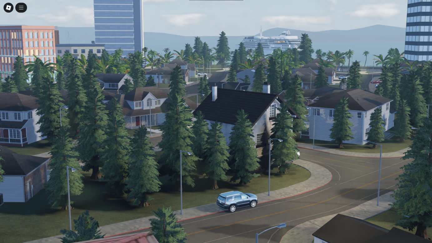 Detailed urban streets and road networks