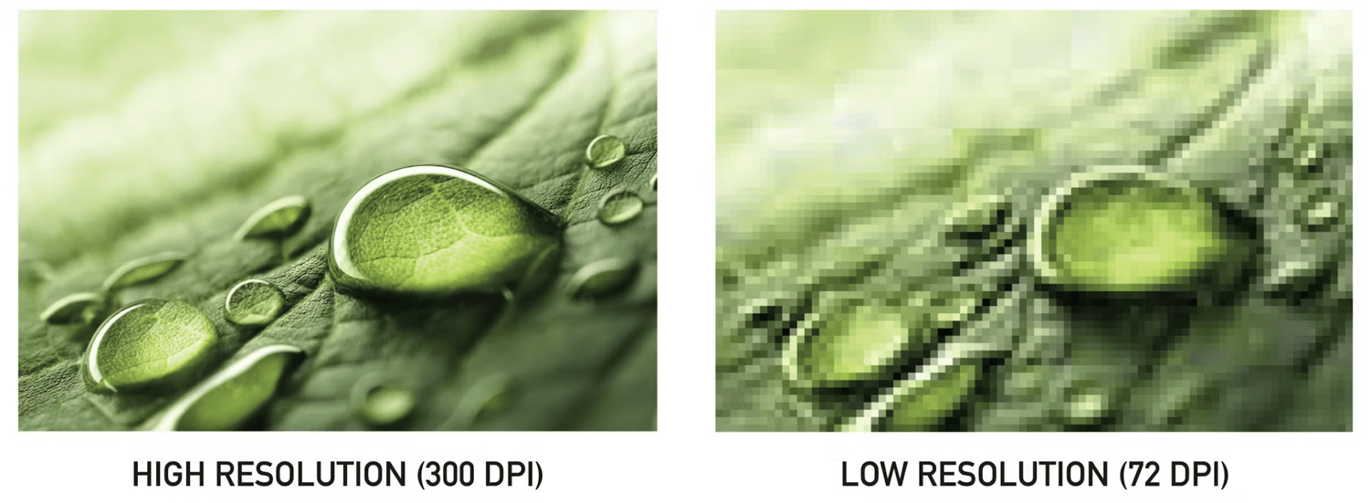 high resolution and low resolution images of a leaf and water