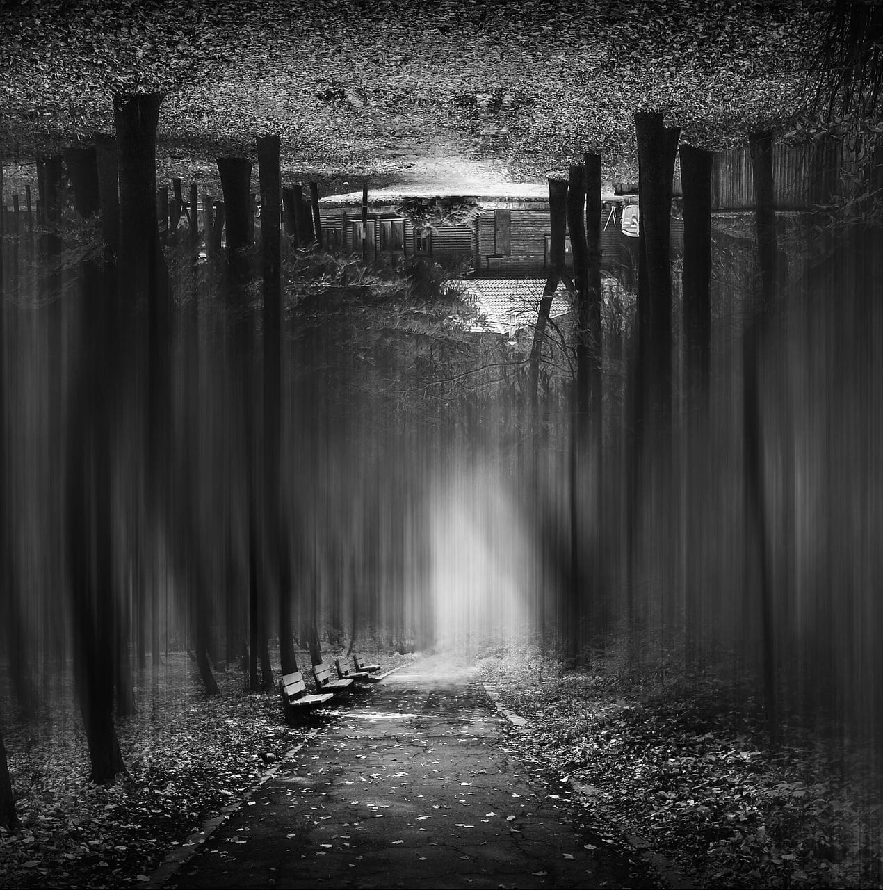 Caminho simbólico numa floresta, representando introspeção, clareza interior e processo terapêutico de escuta interna através de meditação personalizada.