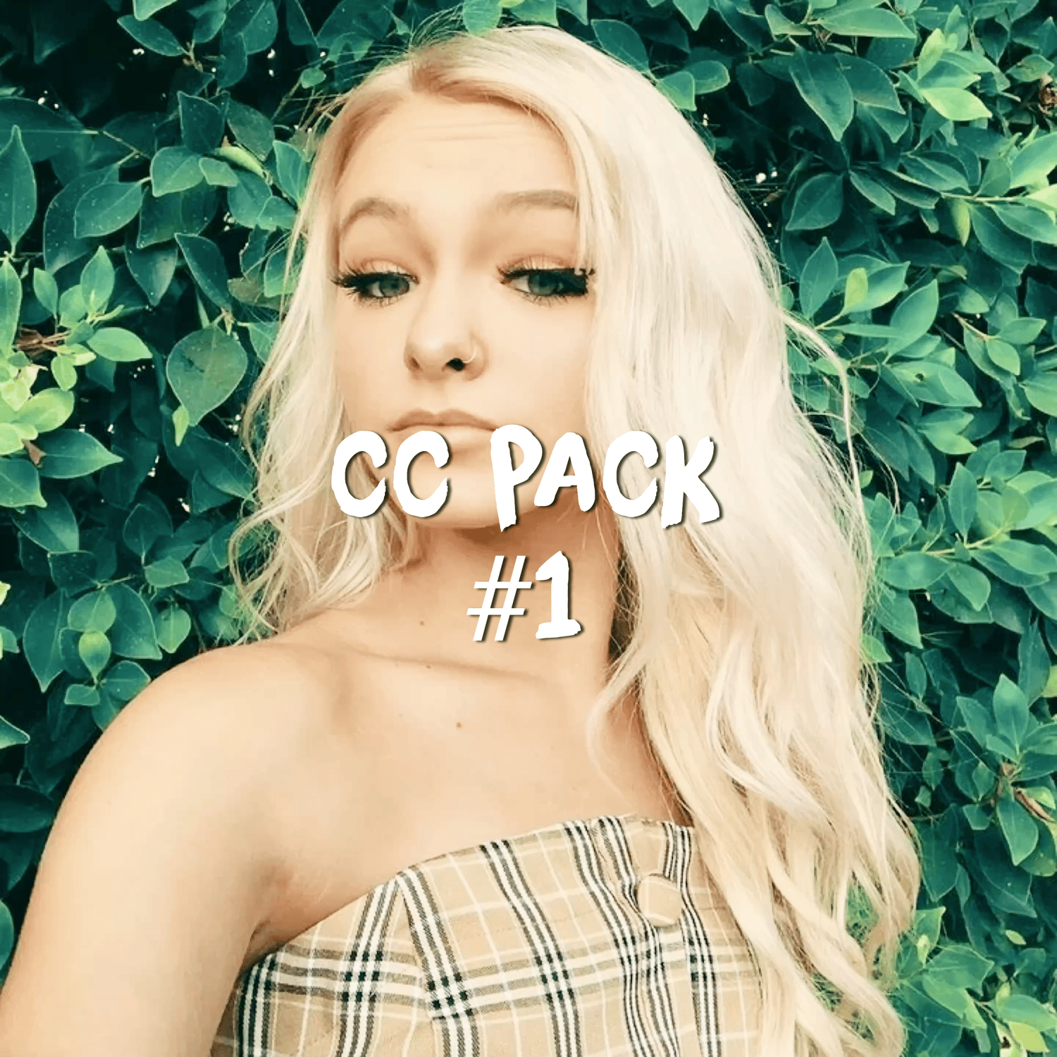 cc pack #1 - Payhip