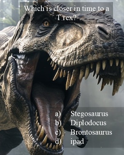 Stegosaurus, Diplodocus and Brontosaurus all lived about 150 Million years ago in the Jurassic period. T Rex lived in the late Cretaceous period which lasted until the asteroid impact about 66 Million years ago.