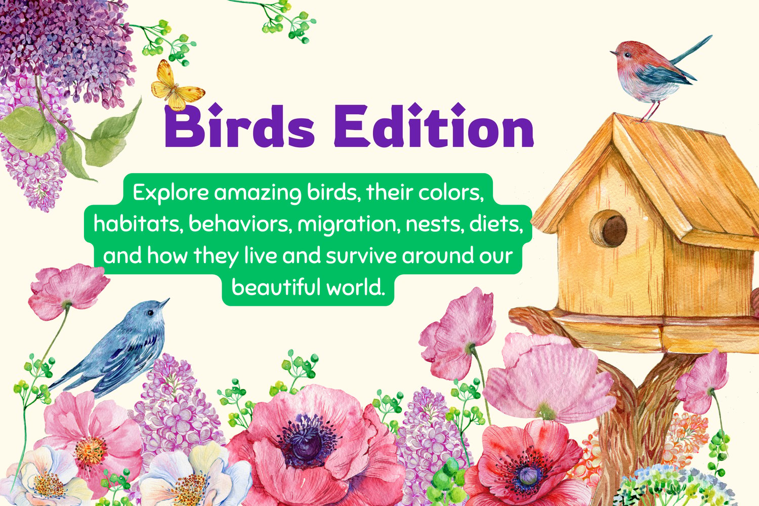 A whimsical illustrated poster titled “Birds Edition.” Watercolor-style birds perch around a wooden birdhouse, surrounded by colorful flowers, leaves, and butterflies. At the center, green text reads: “Explore amazing birds, their colors, habitats, behavi