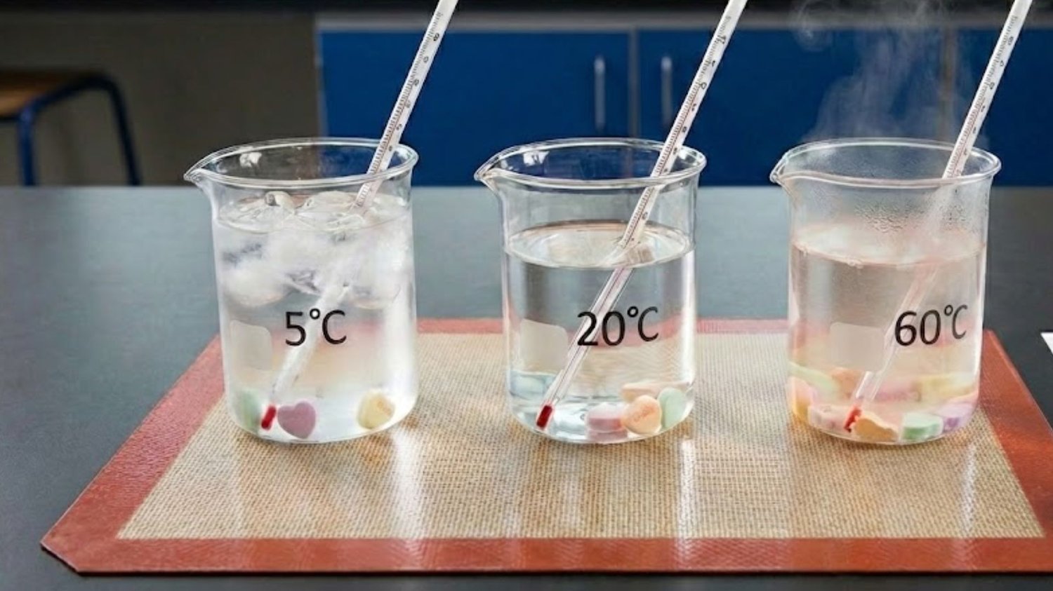 Three clear beakers labelled 5°C, 20°C, and 60°C showing sweets dissolving in water at different temperatures, with stirring rods in each beaker.