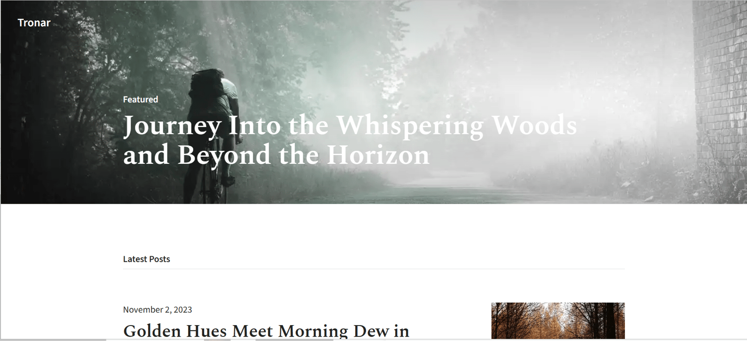 Tronar WordPress.com Theme For Blogs By Automattic