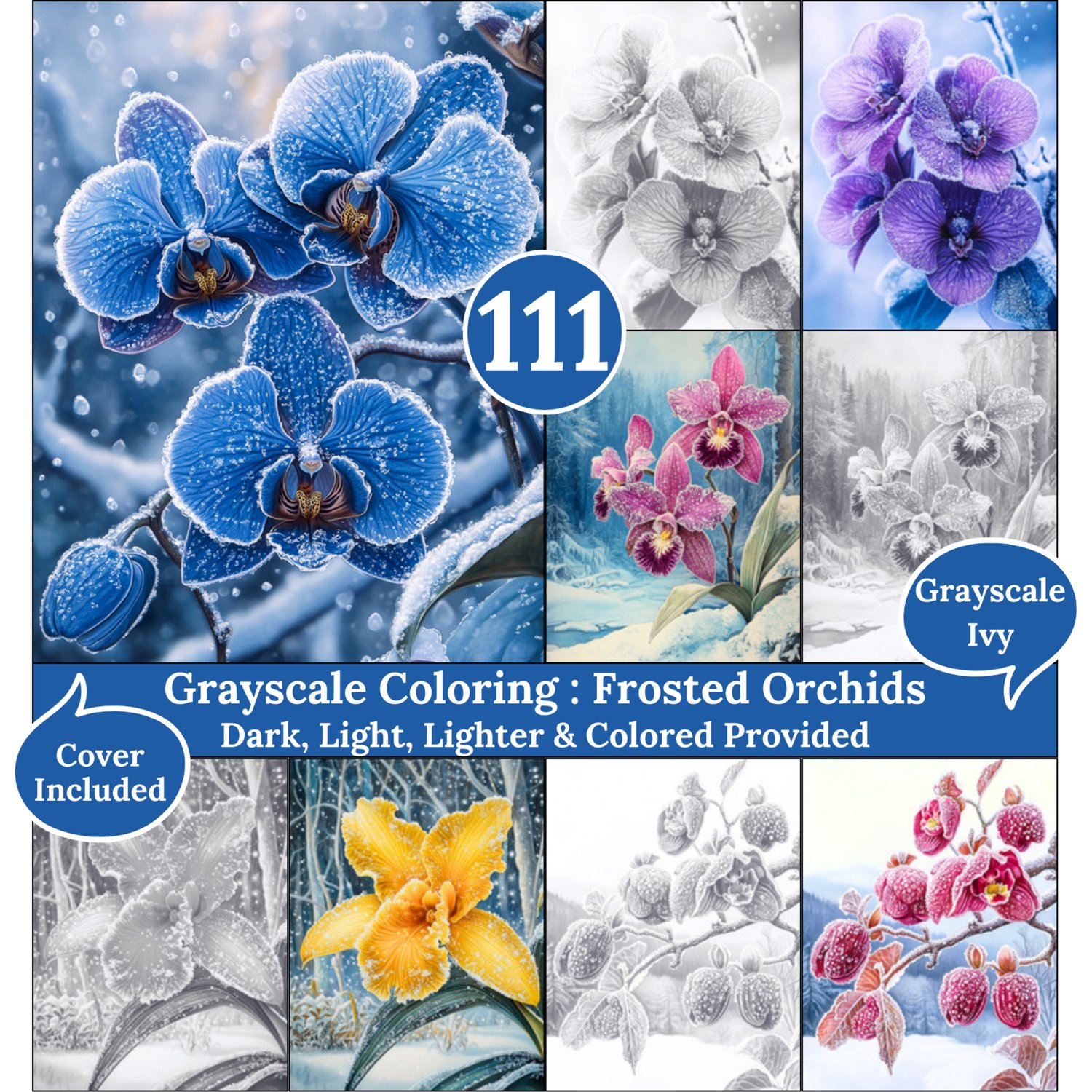 Frosted Orchids, 111 Coloring Pages, Grayscale Drawings, Dark Light Lighter and Colored Versions, Digital Art Sheets, Winter Flowers