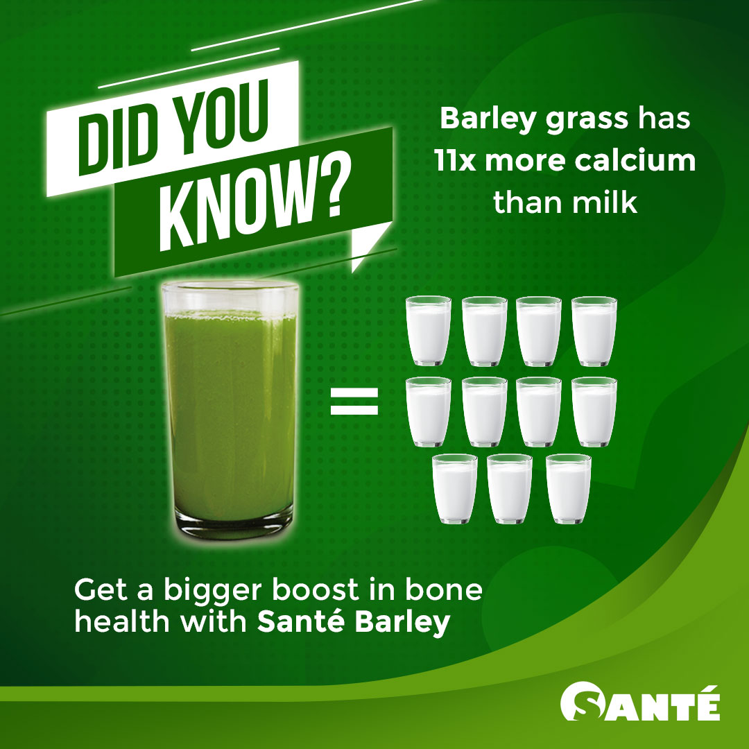 Certified organic Santé Barley powder with stevia, 3g x 30 sachets for daily use.