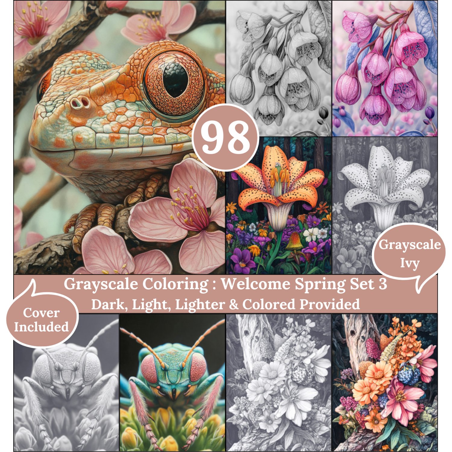 Welcome Spring Set 4, 98 Coloring Pages, Grayscale Drawings, Dark Light Lighter and Colored Versions, Digital Art Sheets, Blooming Scenes