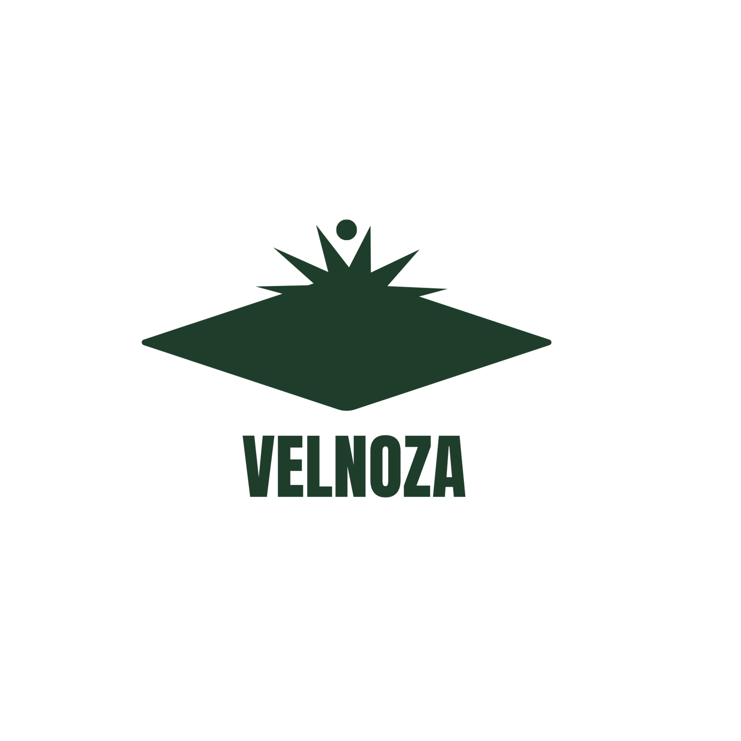 “Velnoza logo – premium baby feeding sets, silicone bowls, lunchboxes, and 40 oz sport flasks for parents and toddlers.