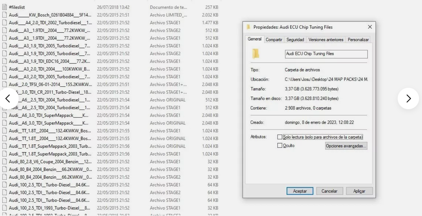 audi-ecu-chip-tuning-files-2