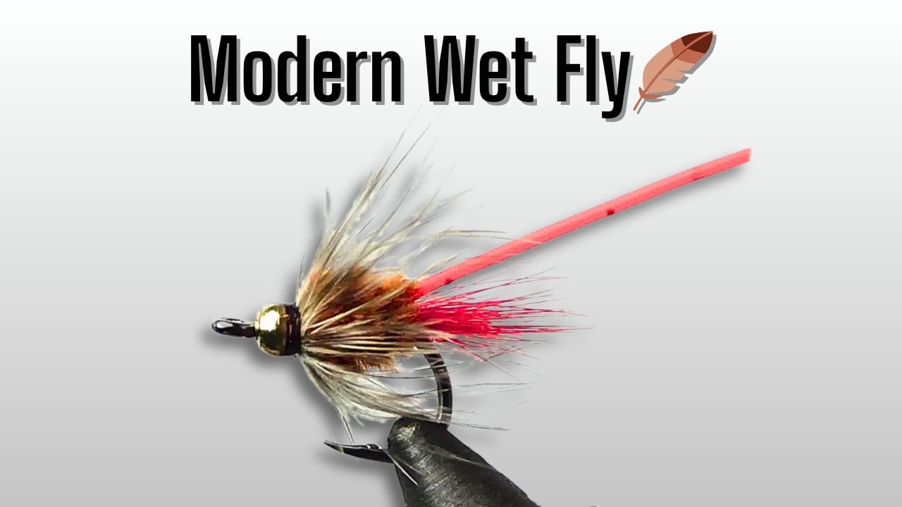 Close-up of the San Woolly wet fly, a modern multi-species wet fly designed by Matt Campbell.