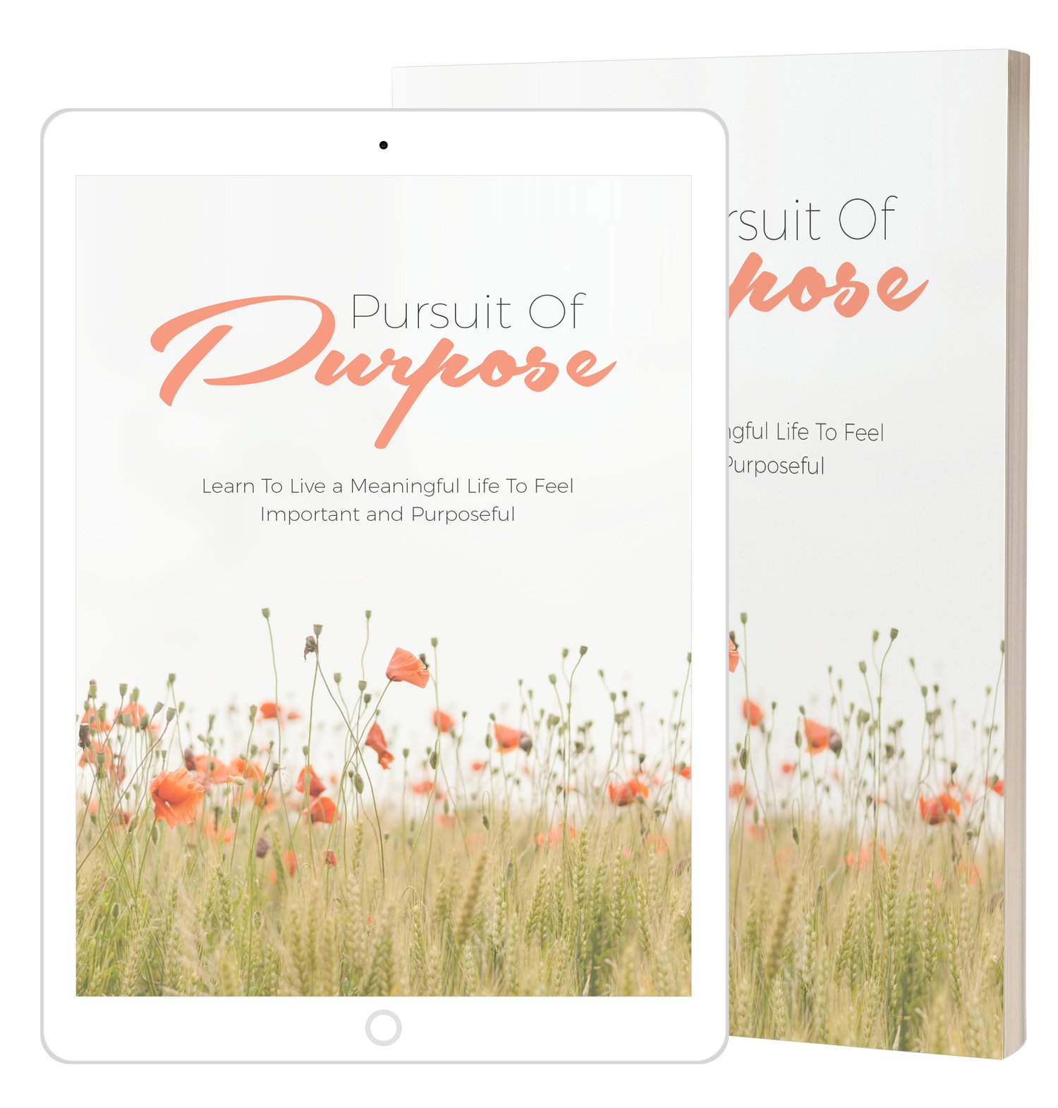 Discover meaningful life guide eBook