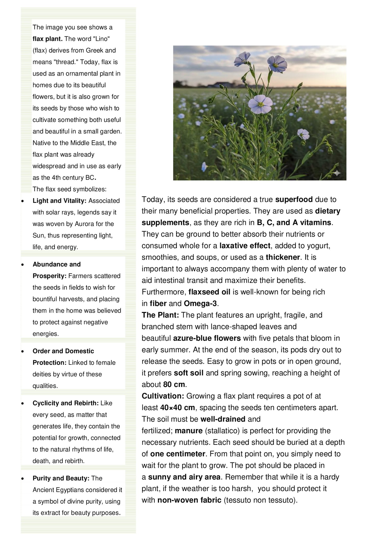 Flax plant and its seeds