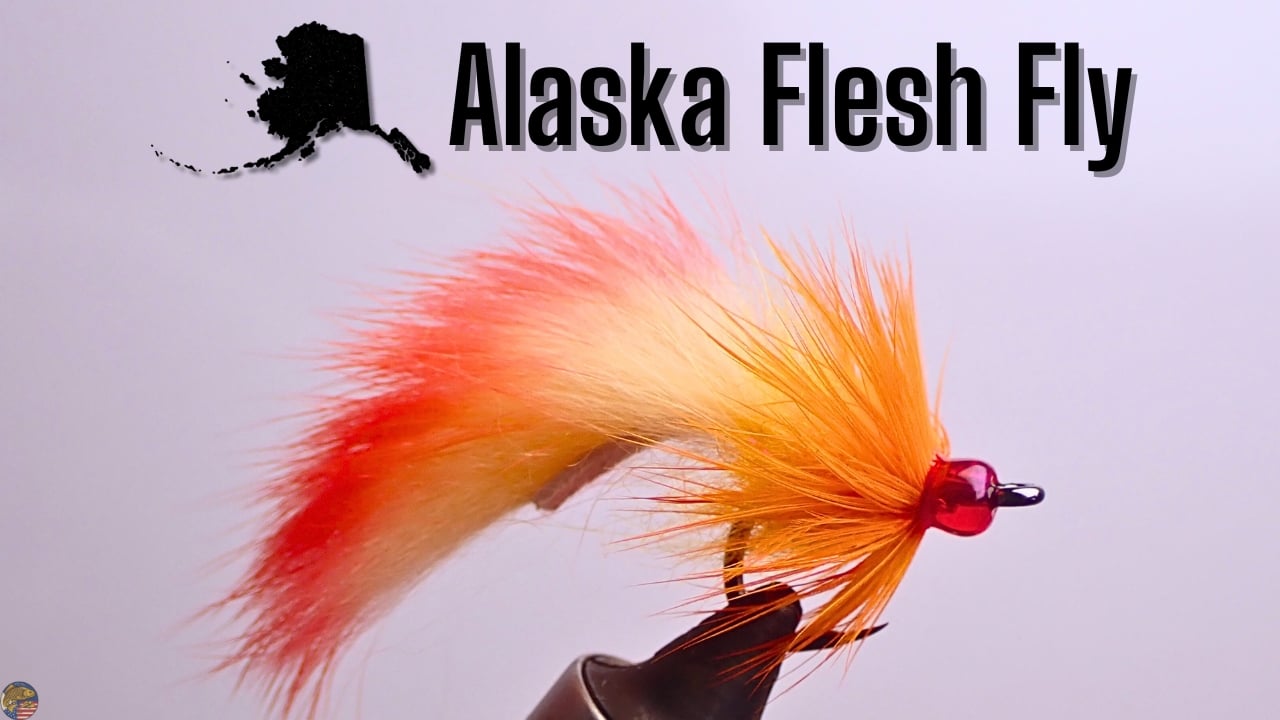 Close-up of the Flesh Wound streamer designed by guide Matt Campbell for trout fishing in Southeast Alaska.