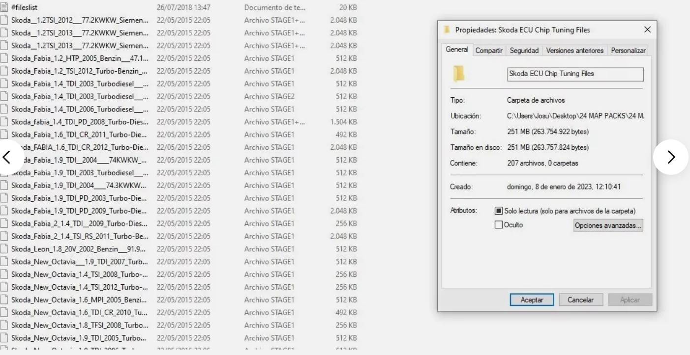 skoda-ecu-chip-tuning-files-download-2