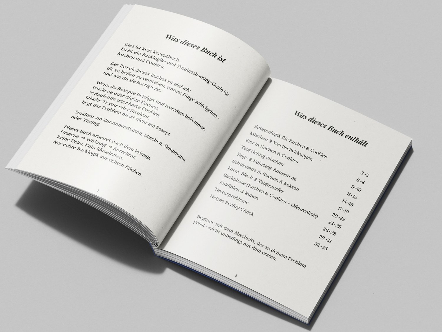 Einblick ins Backfehler-eBook mit praktischen Tipps und übersichtlichem Layout