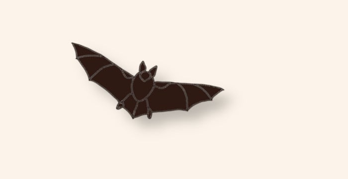 bat in flight
