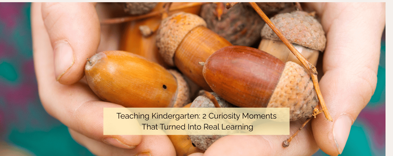 Teaching Kindergarten: 2 Curiosity Moments That Turned Into Real Learning