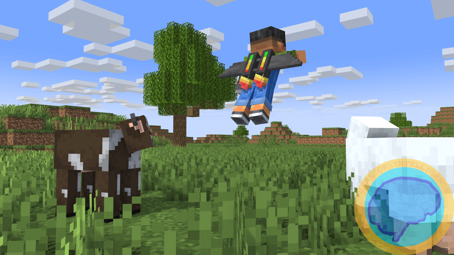 someone using jetpack