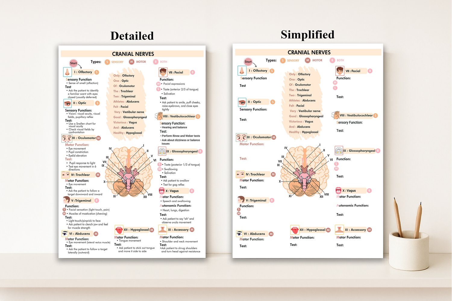 Cranial Nerve Nursing Study Guide PDF | 12 Cranial Nerves Cheat Sheet ...