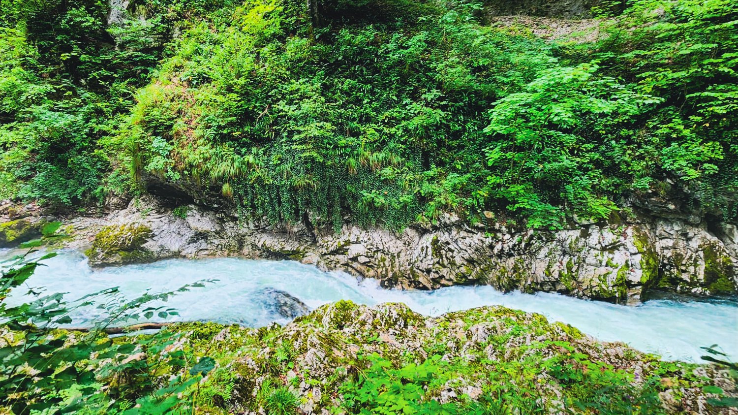 Slovenia river