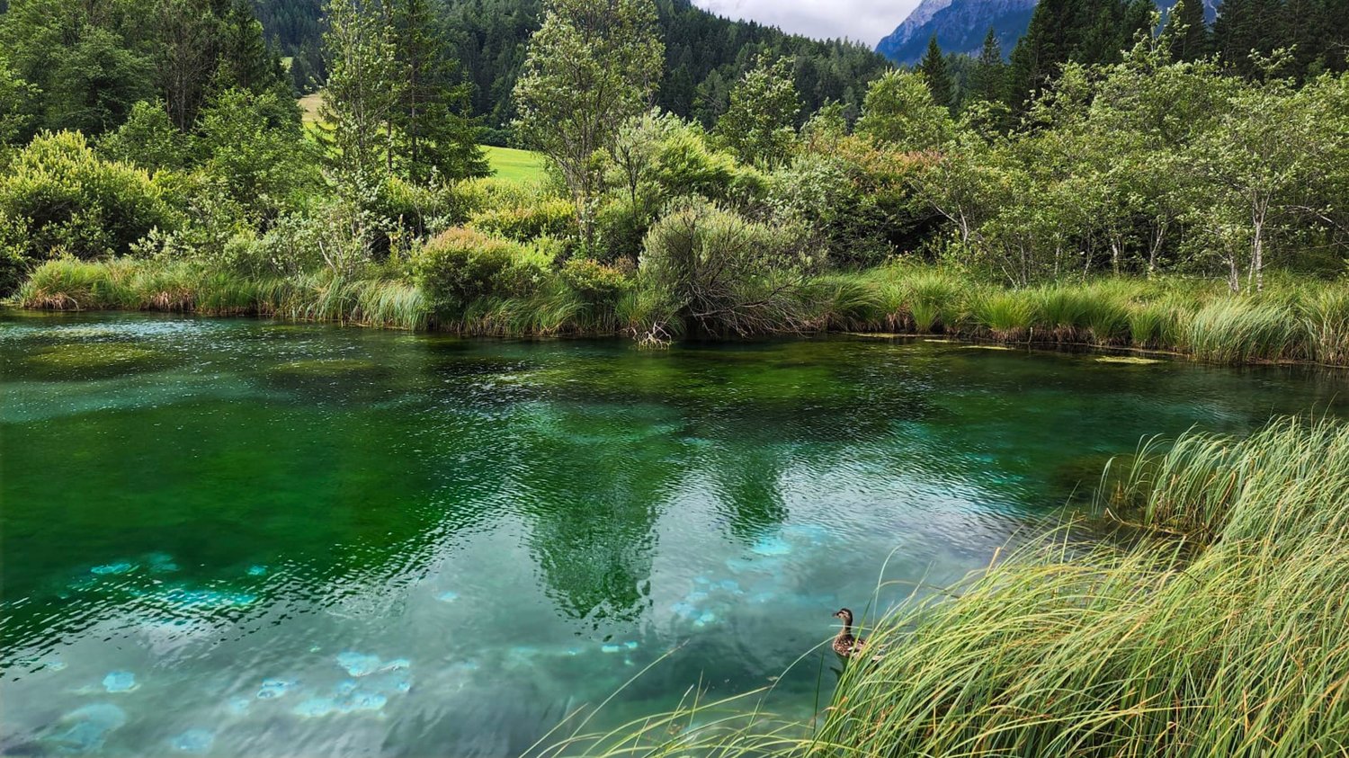 Slovenia's Crystal Clear Water Lake