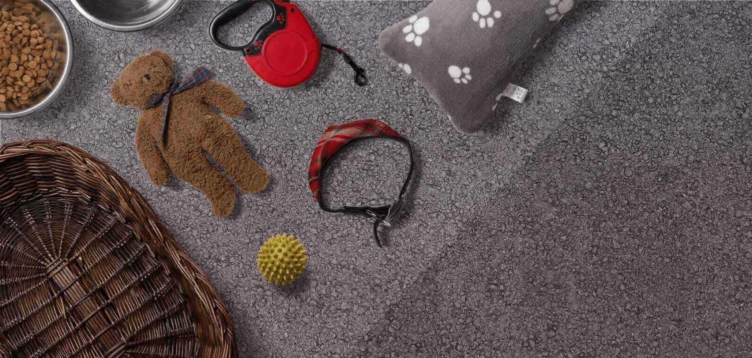 Essential, evidence‑based guides to help puppies and newly adopted dogs settle safely. Simple steps, calm routines, and real‑world skills for a confident start