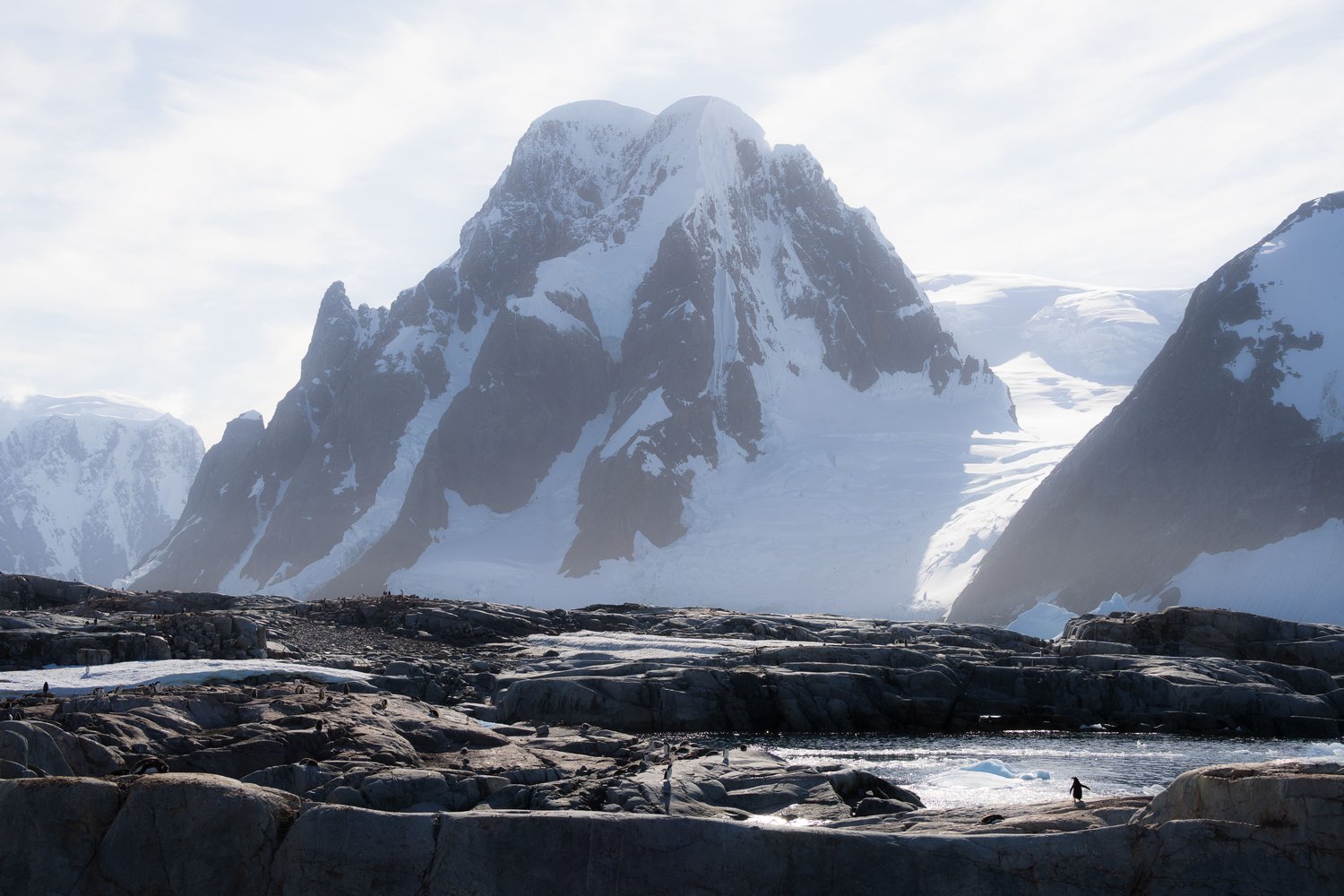 Antarctica Petermann Island penguin mountain