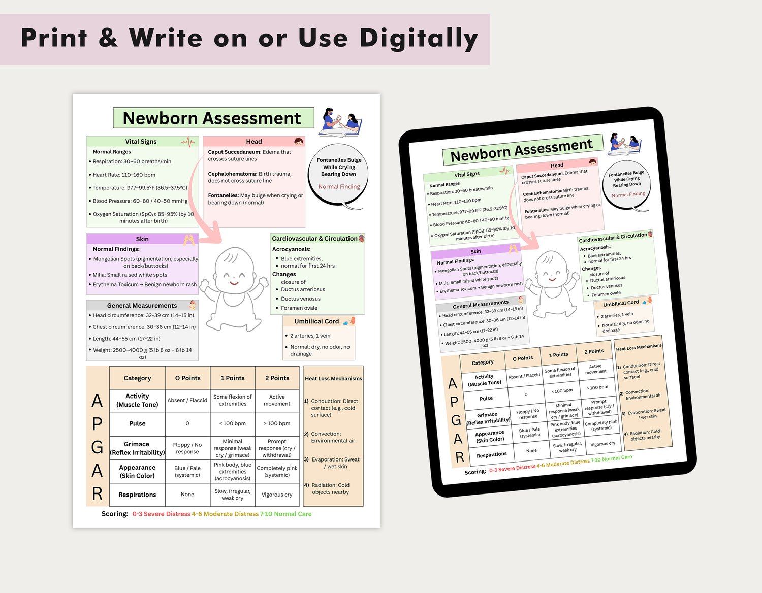 Apgar Chart.pdf NICU Nursing Newborn Assessment PDF | Vital Signs Ranges APGAR Scoring ...