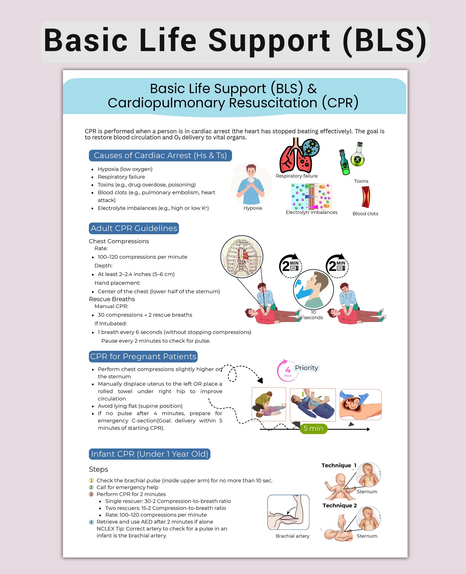 BLS CPR Cheat Sheet | Nursing Study Guide (Printable PDF) - Payhip