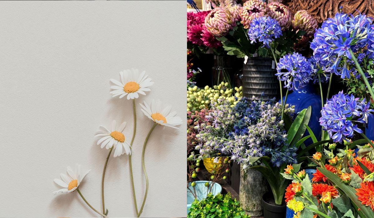 minimalist vs maximalist